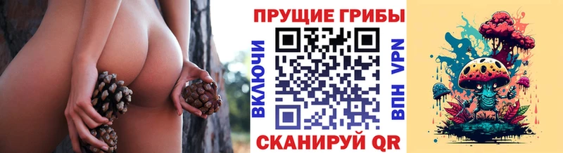 Псилоцибиновые грибы Psilocybine cubensis  как найти наркотики  маркетплейс официальный сайт  Копейск 