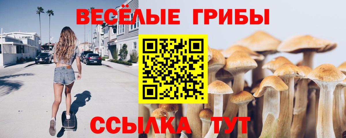 Псилоцибиновые грибы мухоморы  Вход с VPN  Копейск 